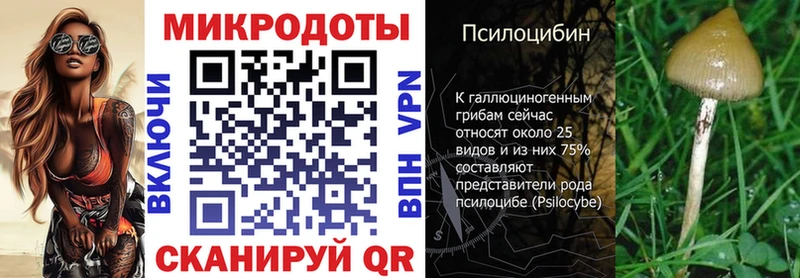 Псилоцибиновые грибы прущие грибы  Чердынь 